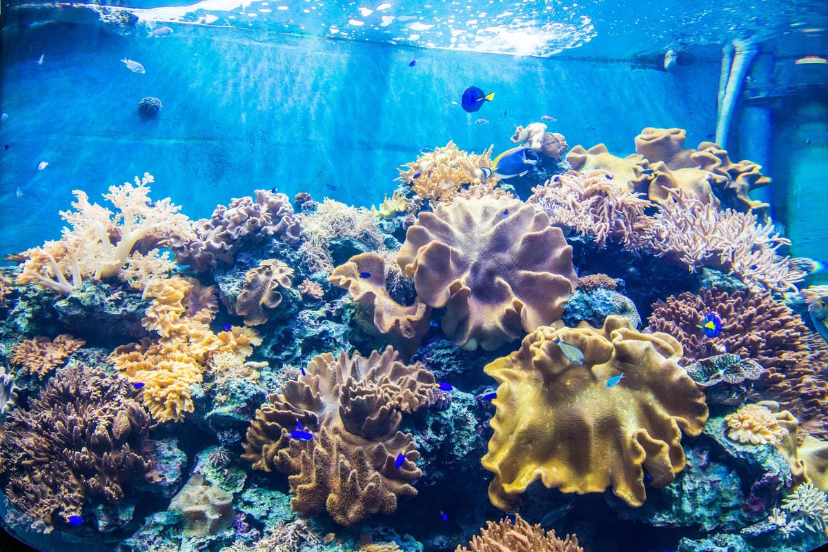 IMG_4861 (Copy).JPG IMG_4861 (Copy).JPG