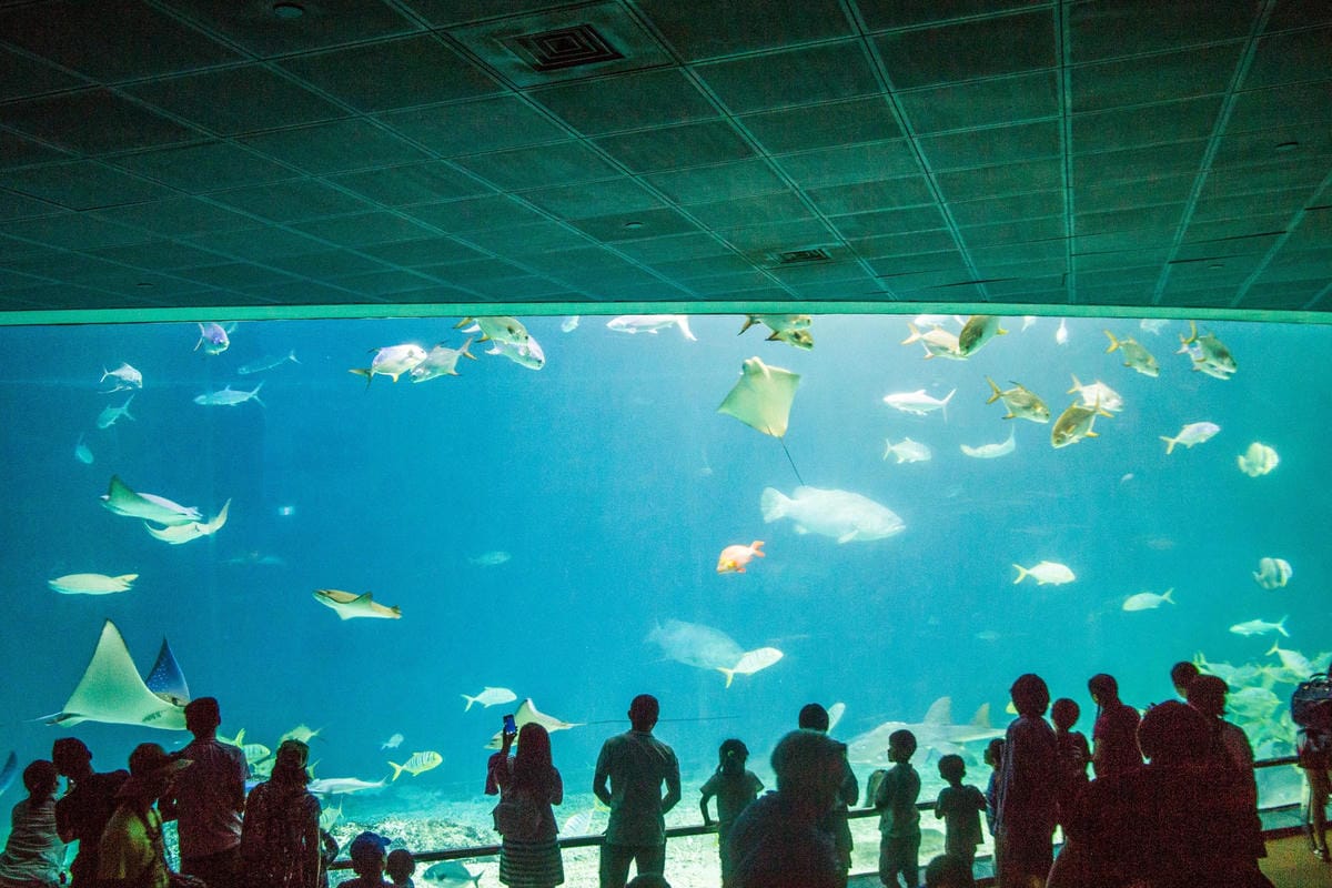 IMG_0533 (Copy).jpg IMG_0533 (Copy).jpg