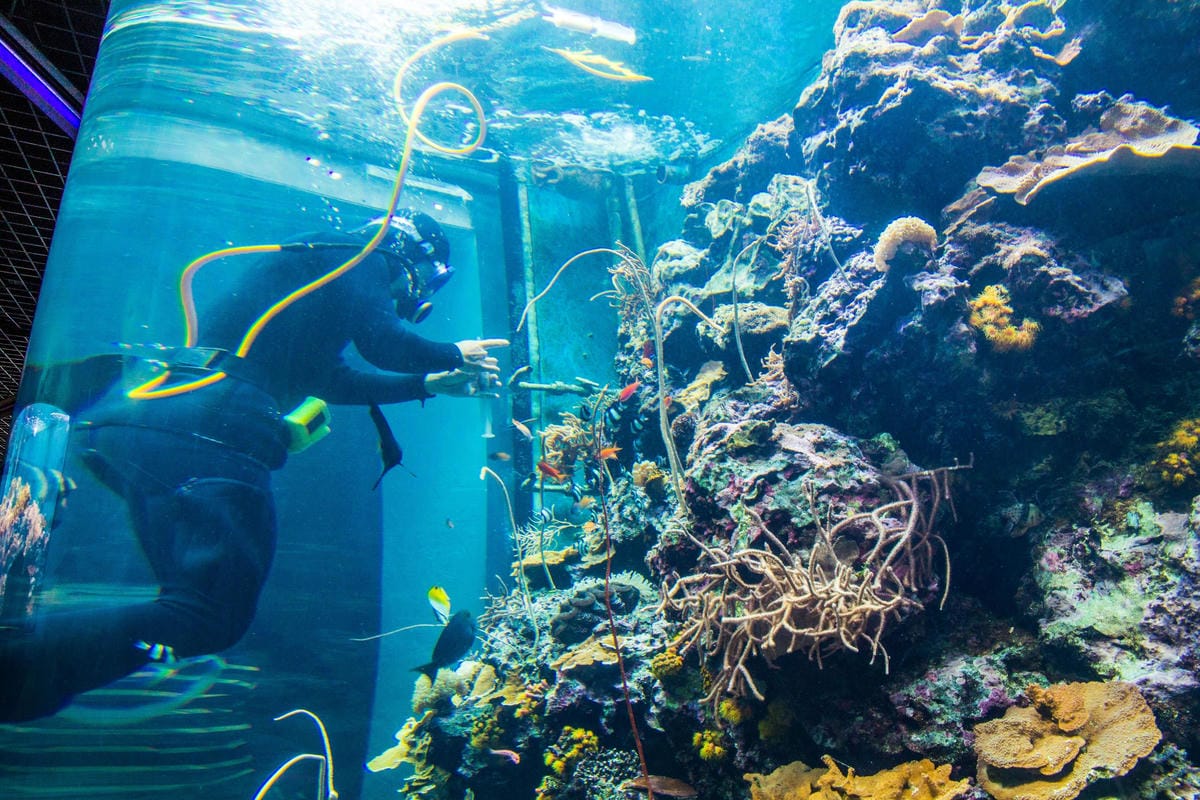 IMG_4864 (Copy).JPG IMG_4864 (Copy).JPG