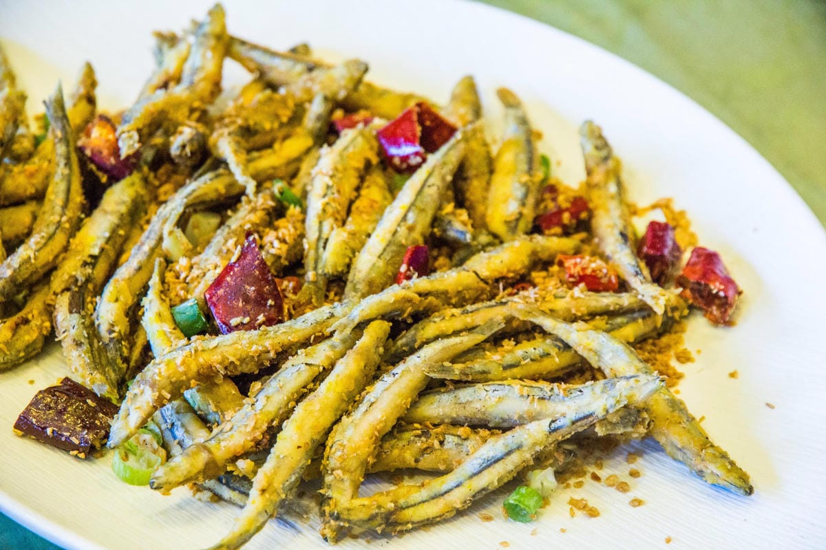 IMG_0576 (Copy).jpg IMG_0576 (Copy).jpg