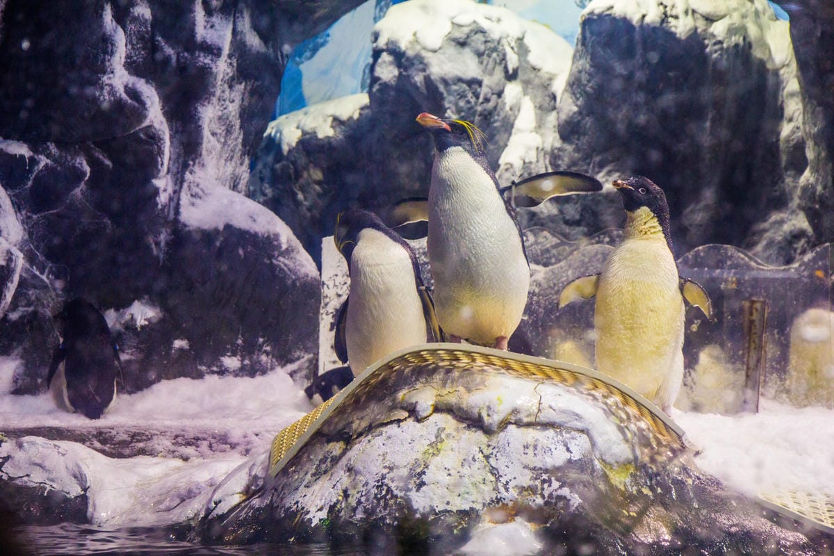 IMG_4925 (Copy).JPG IMG_4925 (Copy).JPG