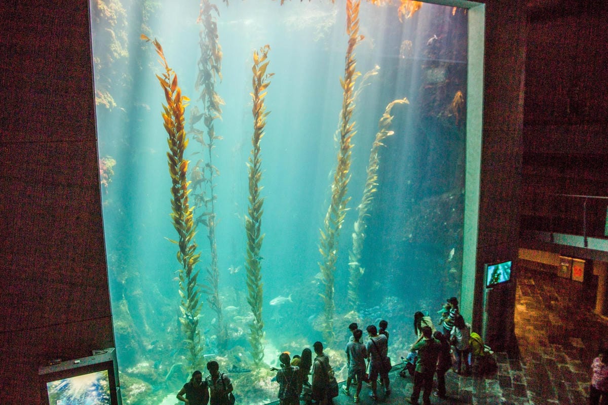 IMG_0423 (Copy).jpg IMG_0423 (Copy).jpg