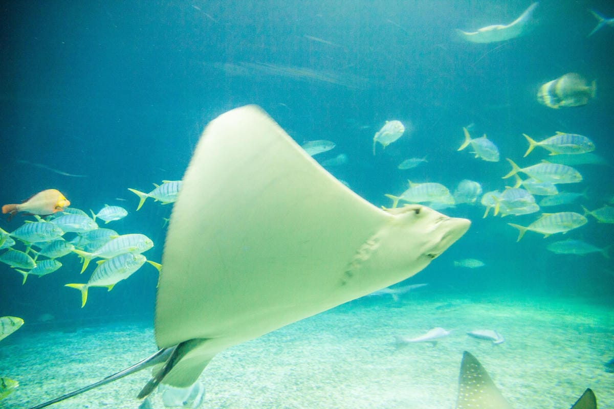 IMG_0541 (Copy).jpg IMG_0541 (Copy).jpg