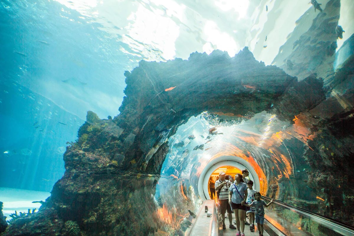 IMG_0484 (Copy).jpg IMG_0484 (Copy).jpg