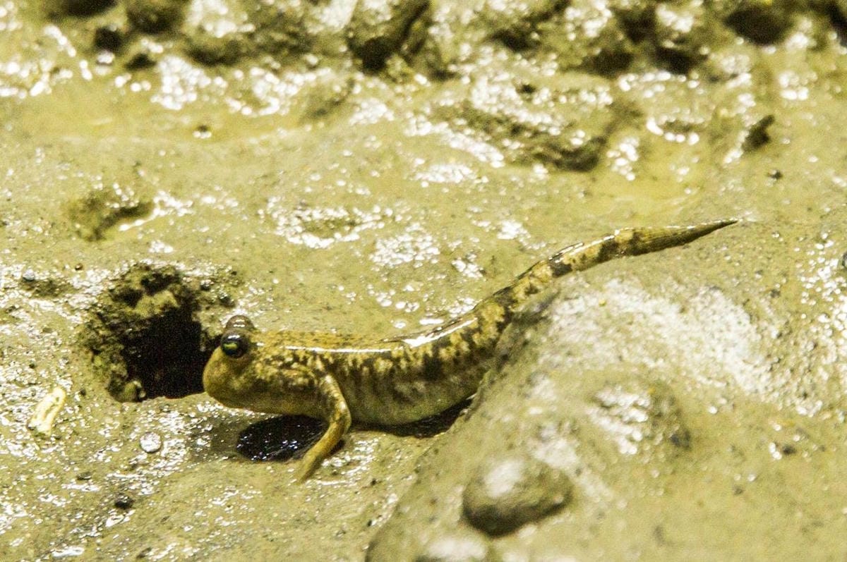 IMG_0517 (Copy).jpg IMG_0517 (Copy).jpg