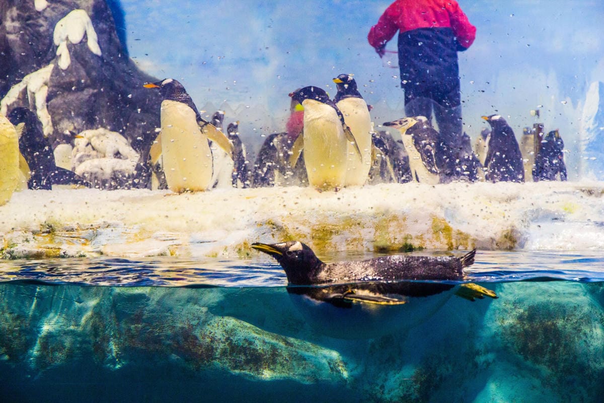 IMG_4934 (Copy).JPG IMG_4934 (Copy).JPG