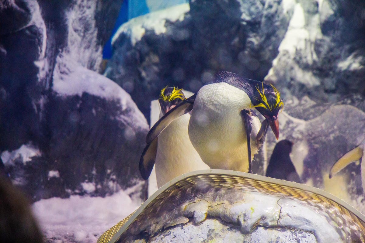 IMG_4924 (Copy).JPG IMG_4924 (Copy).JPG