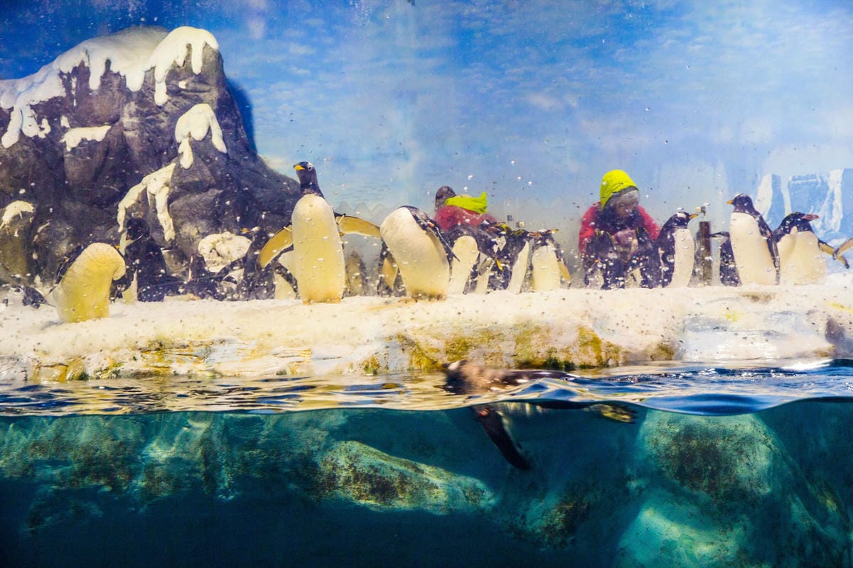 IMG_4933 (Copy).JPG IMG_4933 (Copy).JPG