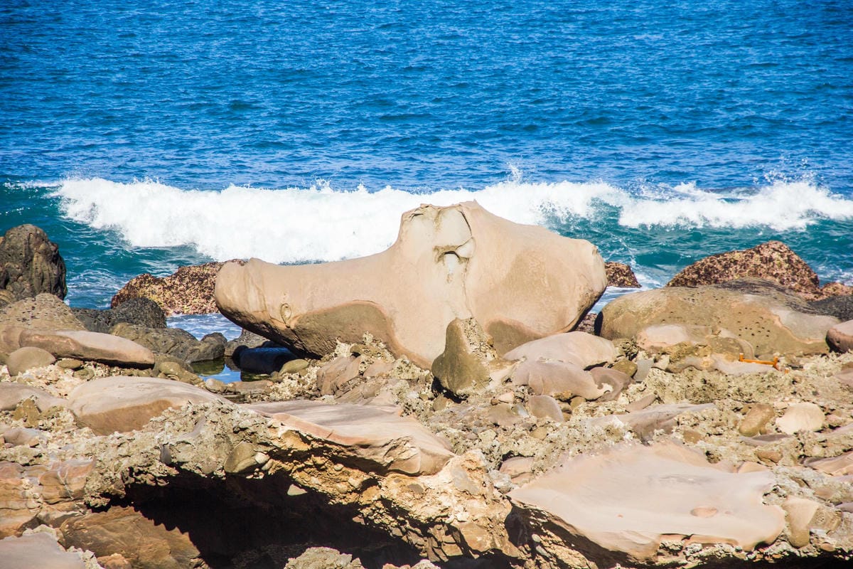 IMG_0649 (Copy).jpg IMG_0649 (Copy).jpg