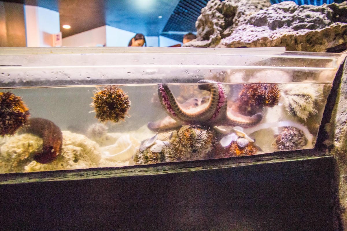 IMG_0523 (Copy).jpg IMG_0523 (Copy).jpg