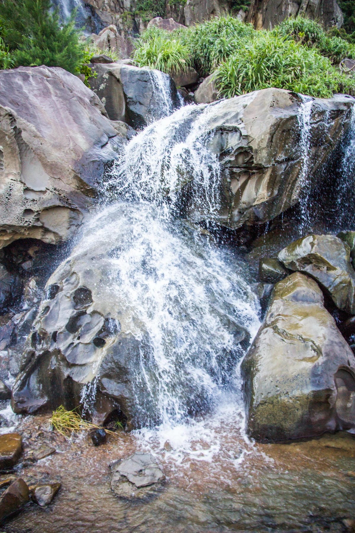 IMG_0659 (Copy).jpg IMG_0659 (Copy).jpg