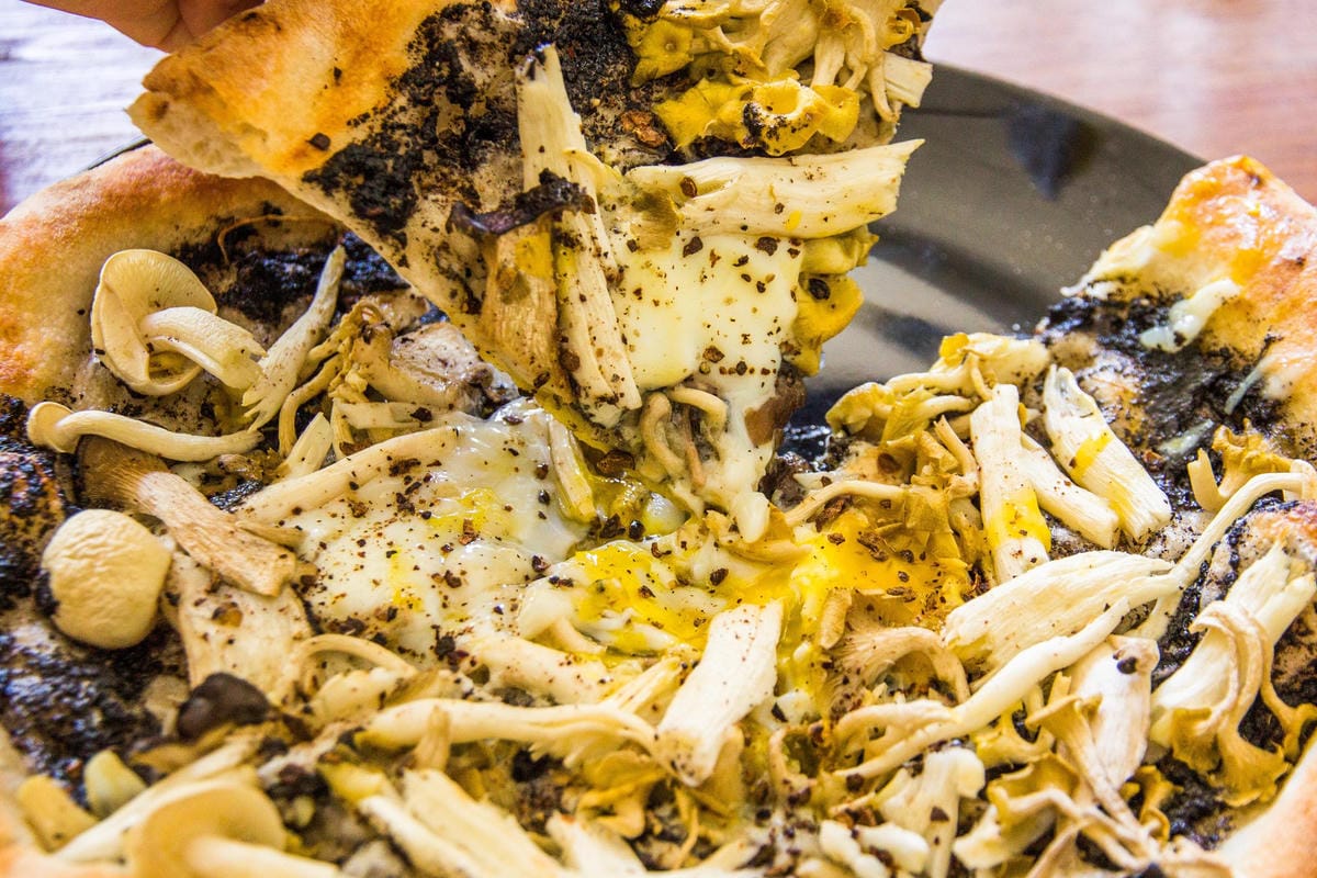 IMG_5809 (Copy).jpg IMG_5809 (Copy).jpg