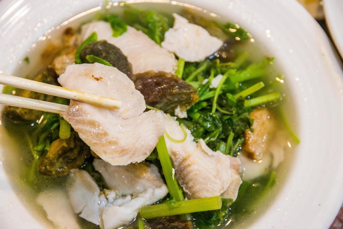 IMG_9843 (Copy).jpg IMG_9843 (Copy).jpg