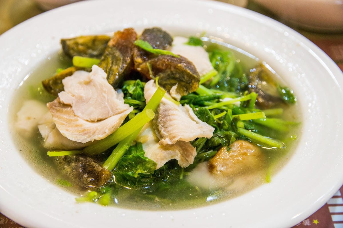 IMG_9841 (Copy).jpg IMG_9841 (Copy).jpg