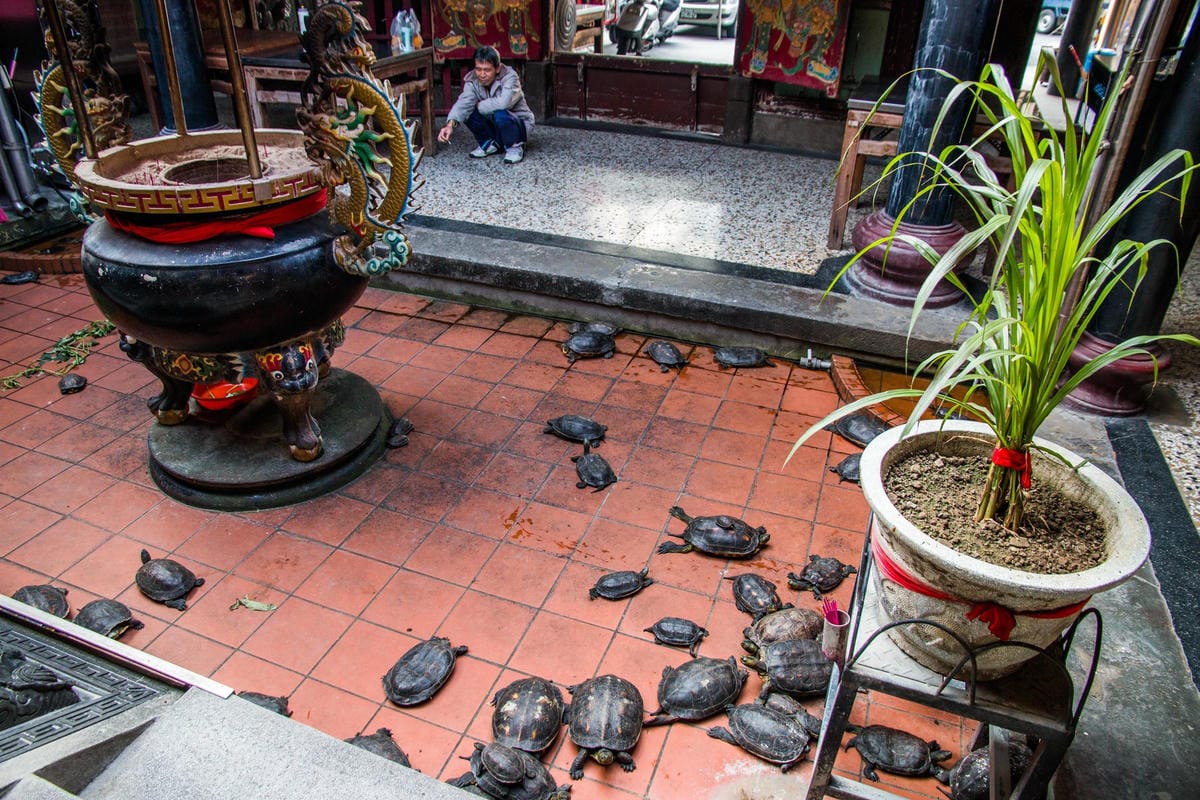 IMG_9022 (Copy).jpg IMG_9022 (Copy).jpg