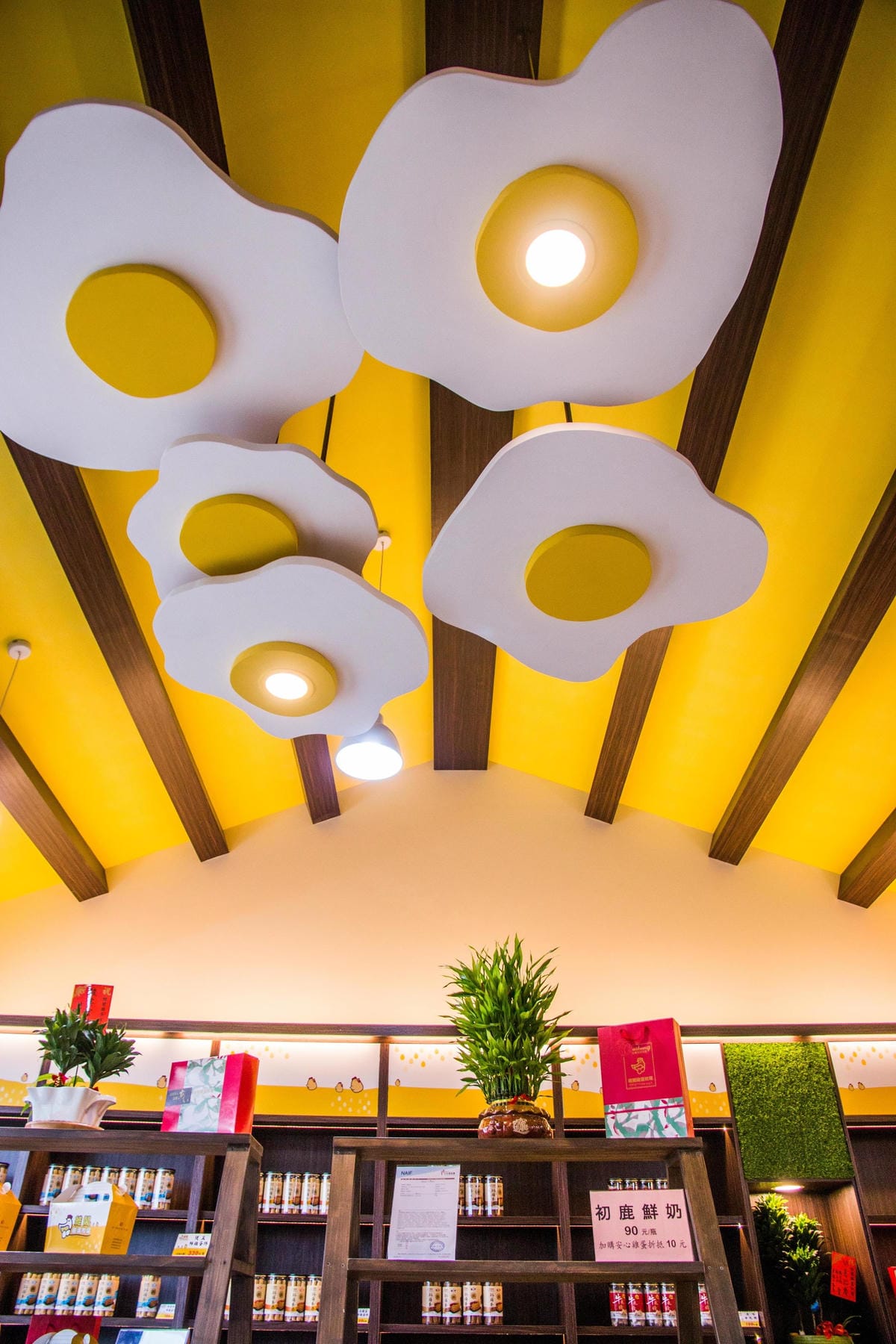 IMG_8619 (Copy).jpg IMG_8619 (Copy).jpg