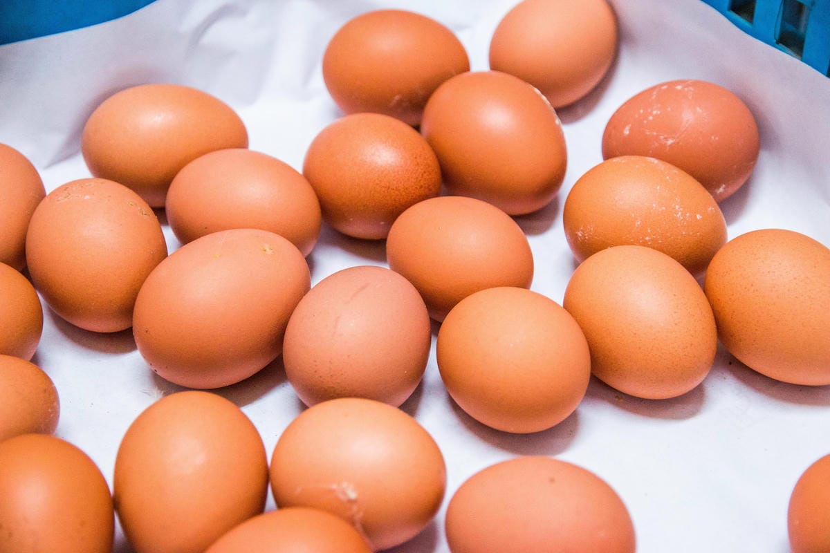 IMG_8628 (Copy).jpg IMG_8628 (Copy).jpg