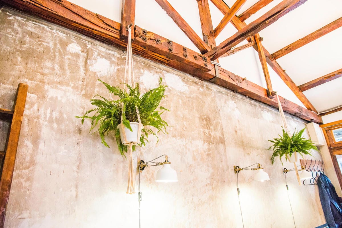 IMG_0025 (Copy).jpg IMG_0025 (Copy).jpg