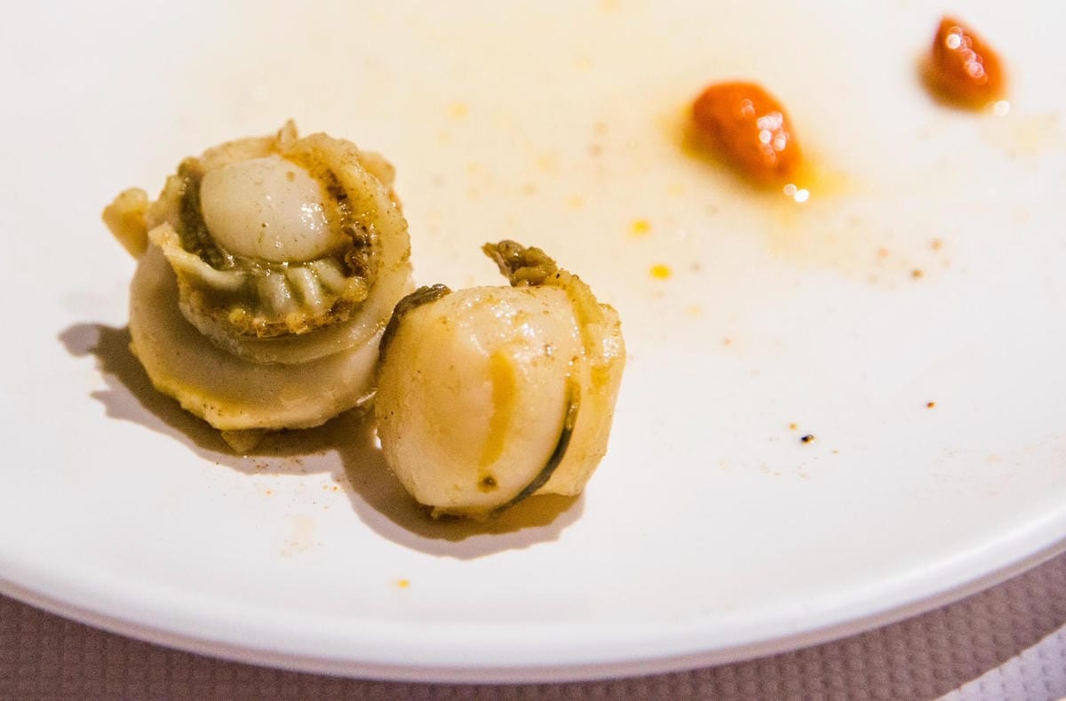 IMG_1443 (Copy).jpg IMG_1443 (Copy).jpg