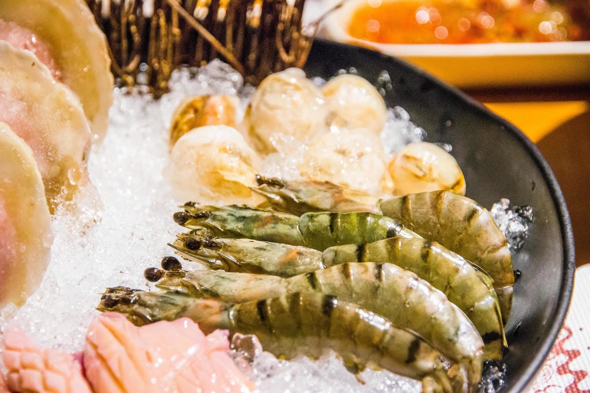 IMG_1419 (Copy).jpg IMG_1419 (Copy).jpg