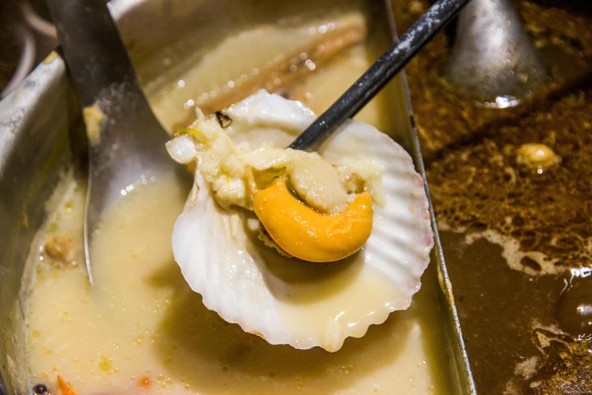 IMG_1445 (Copy).jpg IMG_1445 (Copy).jpg