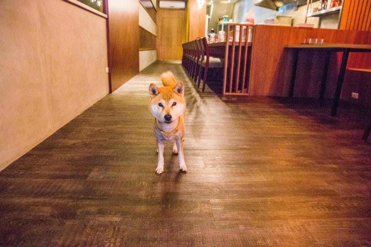 IMG_3164 (Copy).jpg IMG_3164 (Copy).jpg