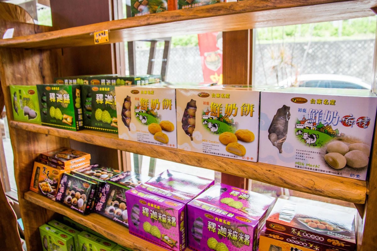 IMG_2582 (Copy).jpg IMG_2582 (Copy).jpg