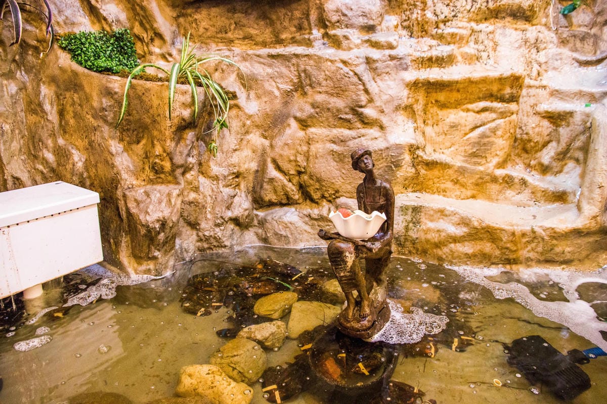 IMG_5447 (Copy).jpg IMG_5447 (Copy).jpg