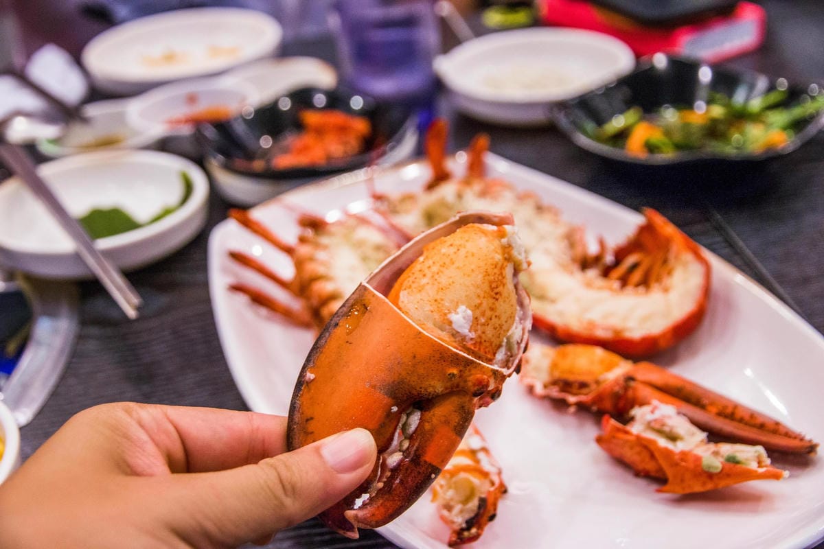 IMG_5440 (Copy).jpg IMG_5440 (Copy).jpg