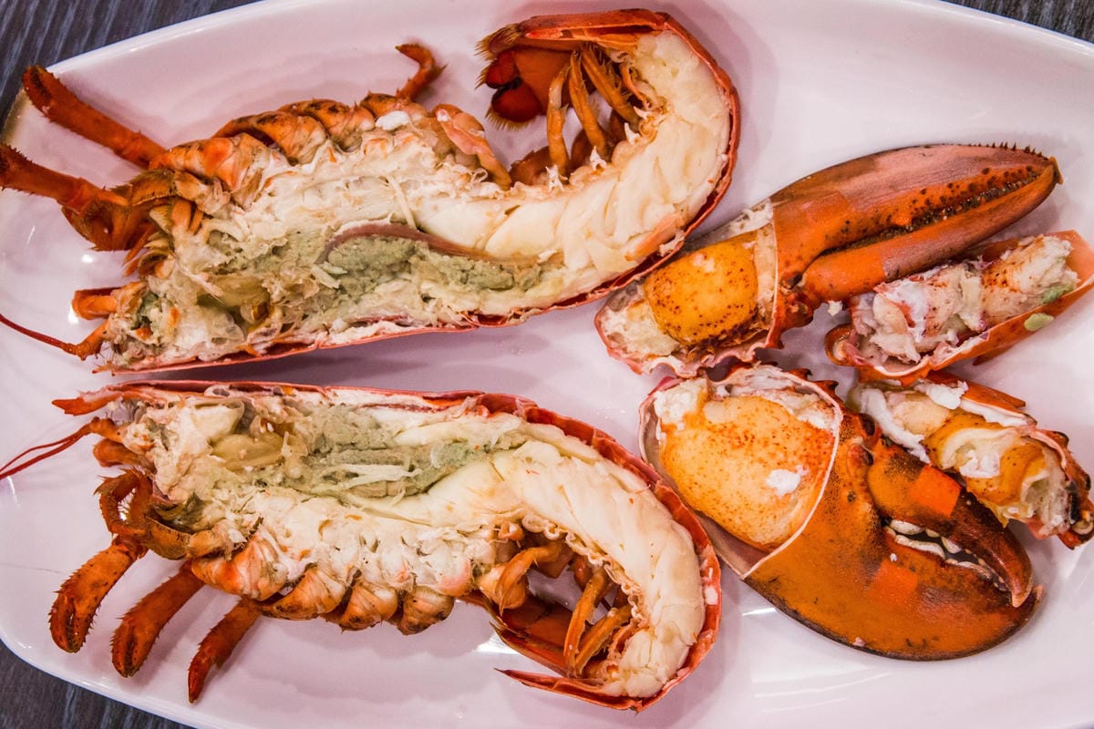 IMG_5439 (Copy).jpg IMG_5439 (Copy).jpg