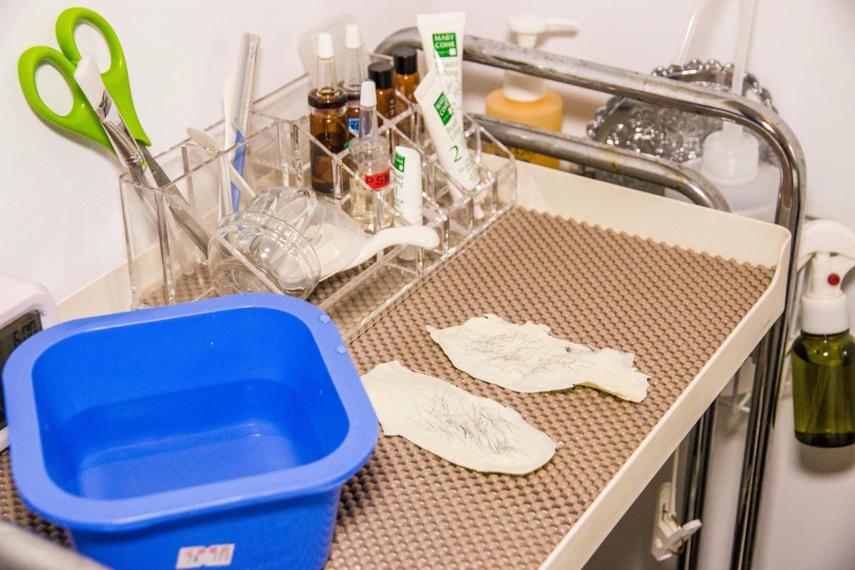 IMG_0788 (Copy).jpg IMG_0788 (Copy).jpg