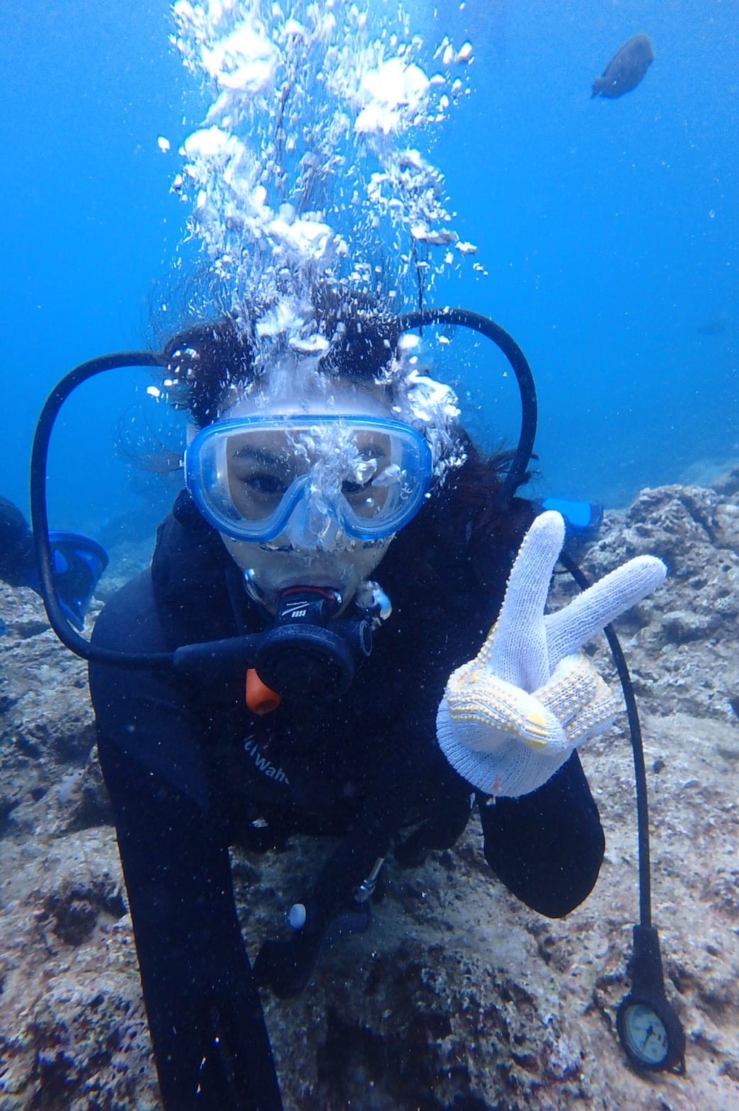 z沖繩2_170903_0162.jpg z沖繩2_170903_0162.jpg