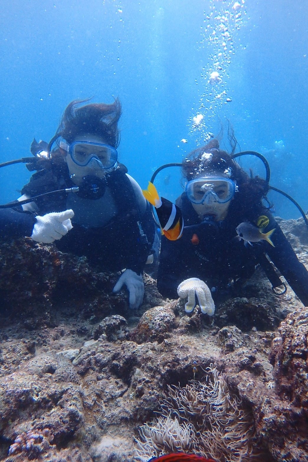 z沖繩2_170903_0169.jpg z沖繩2_170903_0169.jpg