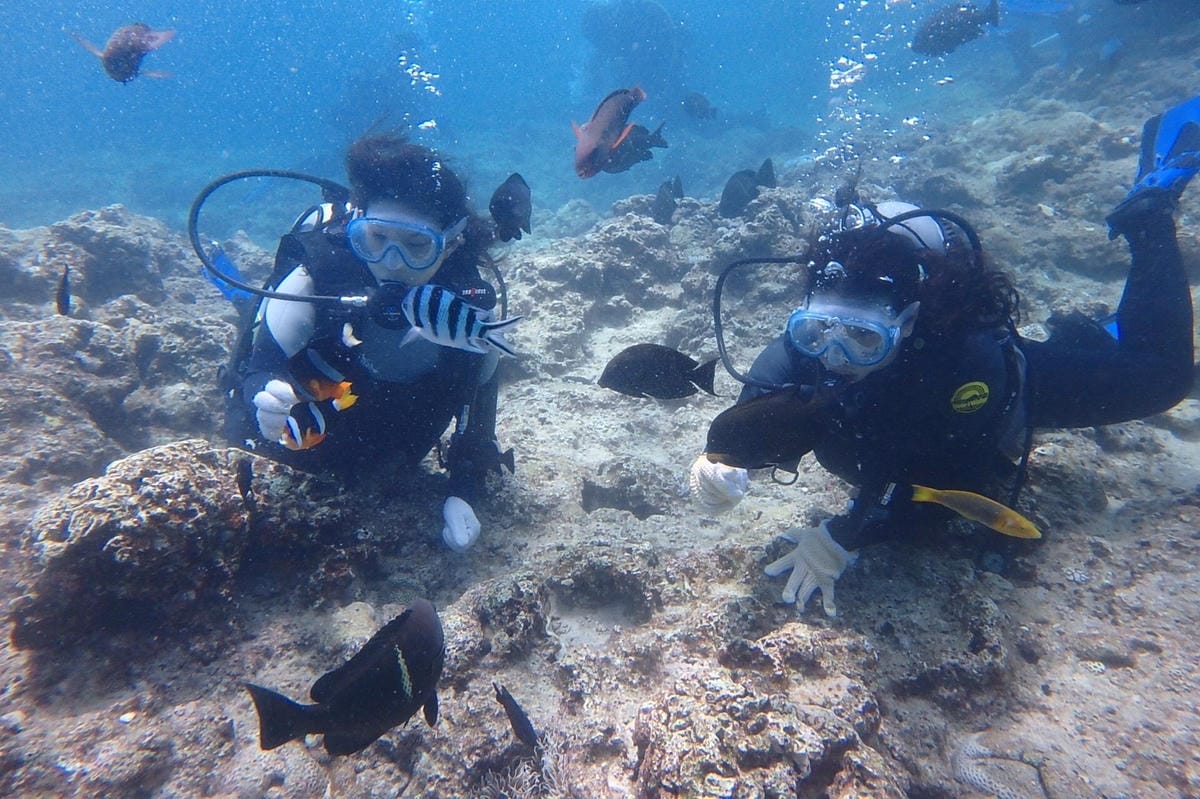 z沖繩2_170903_0159.jpg z沖繩2_170903_0159.jpg