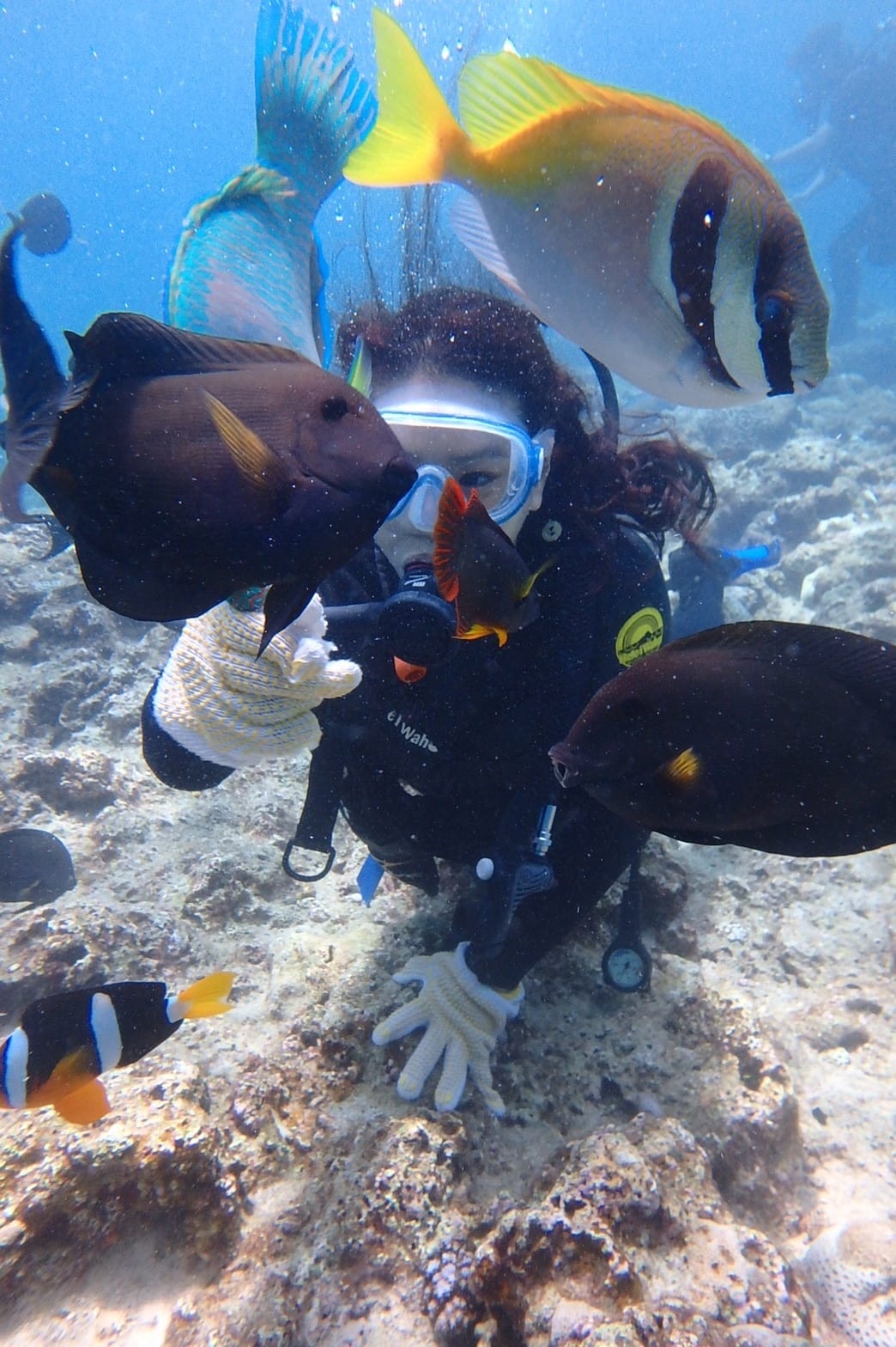 z沖繩2_170903_0152.jpg z沖繩2_170903_0152.jpg