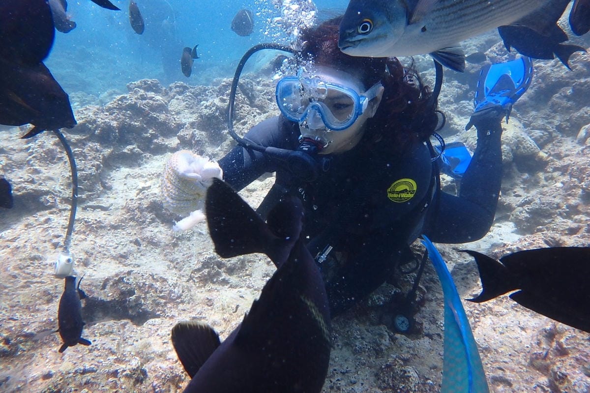 z沖繩2_170903_0158.jpg z沖繩2_170903_0158.jpg