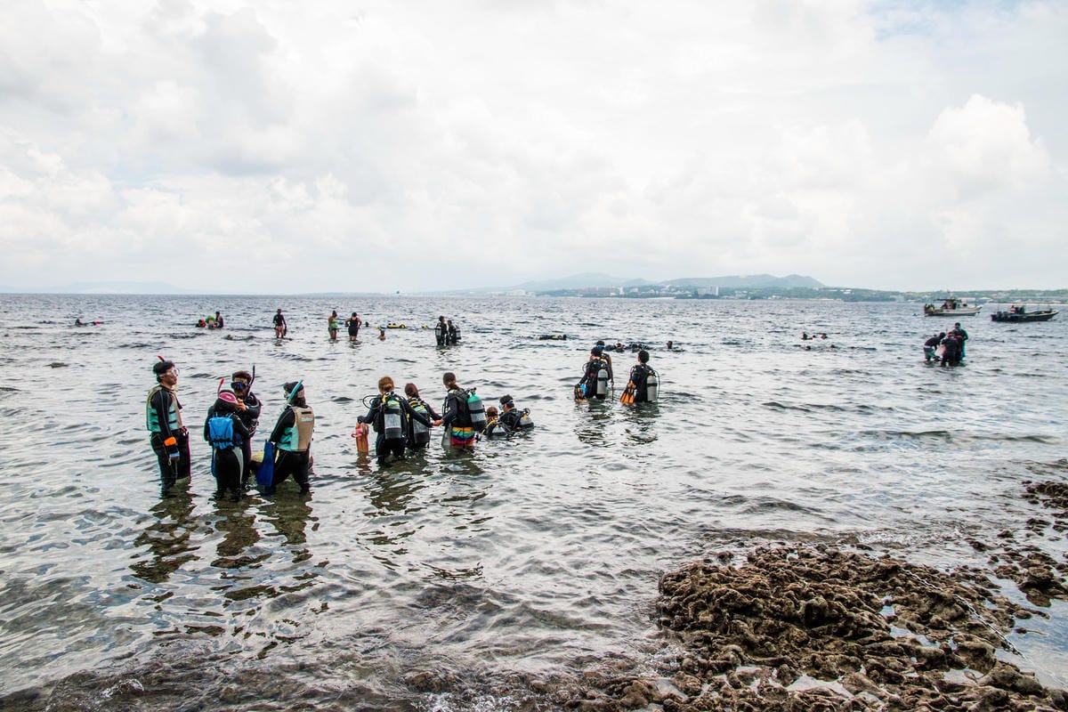 IMG_1263 (Copy).jpg IMG_1263 (Copy).jpg