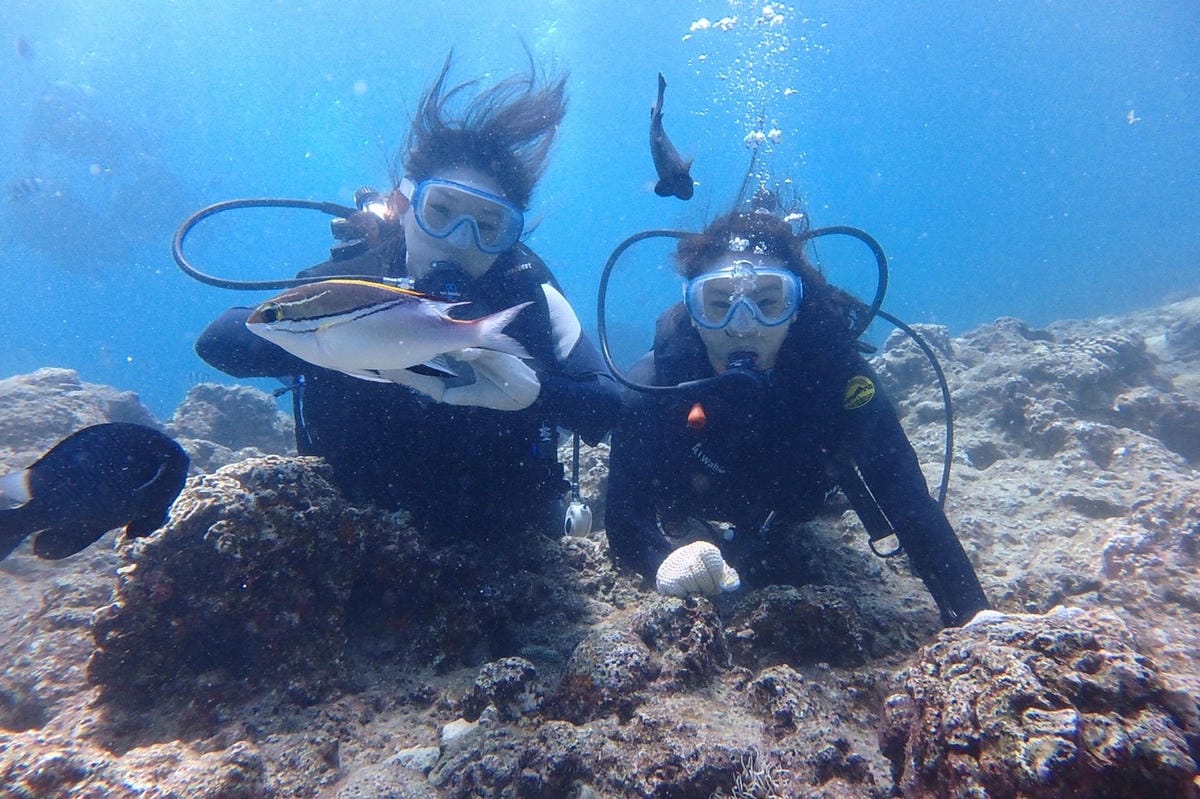 z沖繩2_170903_0172.jpg z沖繩2_170903_0172.jpg