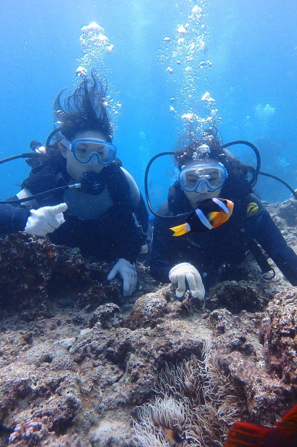 z沖繩2_170903_0168.jpg z沖繩2_170903_0168.jpg