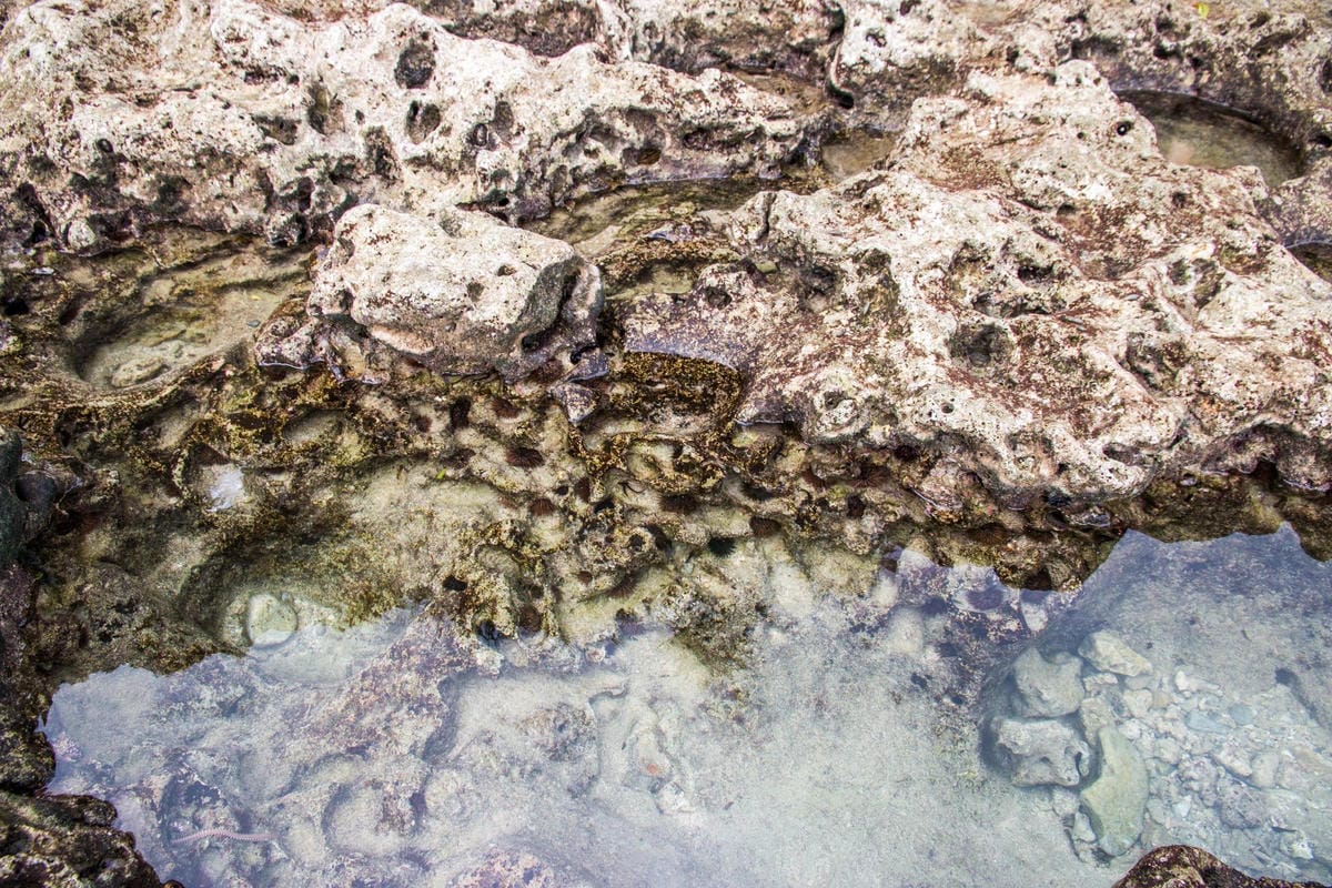 IMG_1279 (Copy).jpg IMG_1279 (Copy).jpg