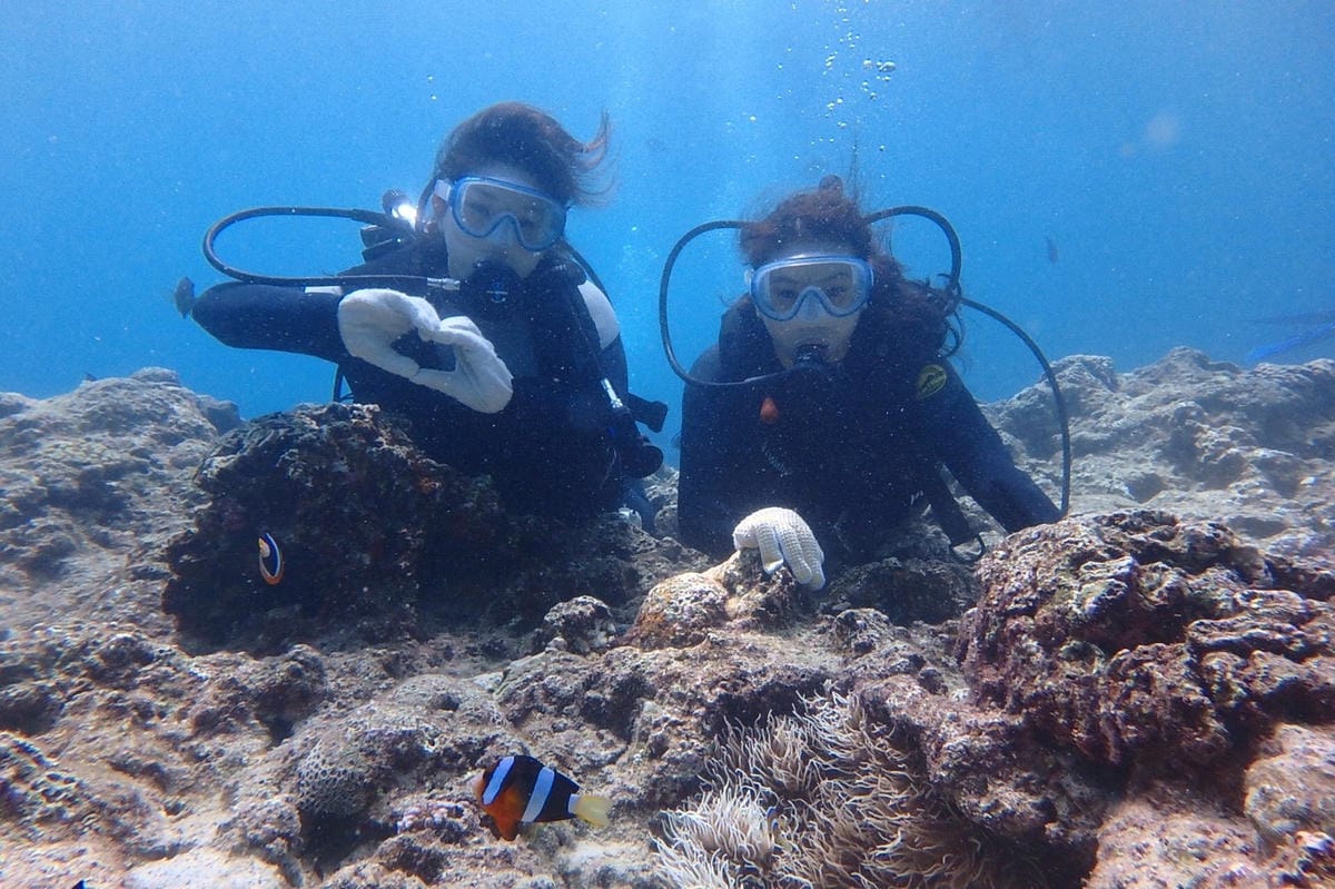 z沖繩2_170903_0163.jpg z沖繩2_170903_0163.jpg