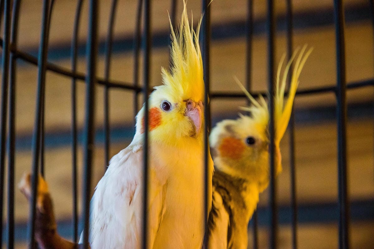 IMG_5042 (Copy).jpg IMG_5042 (Copy).jpg