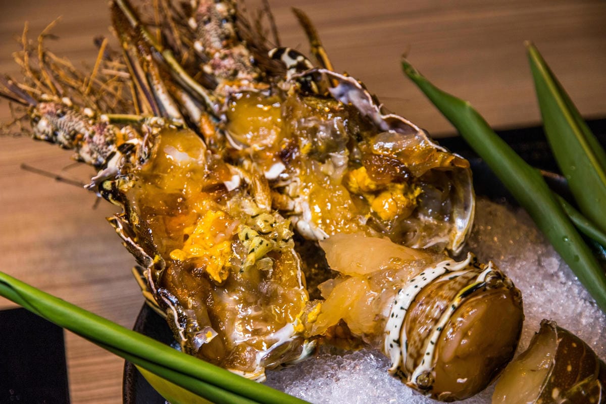 IMG_7917 (Copy).jpg IMG_7917 (Copy).jpg