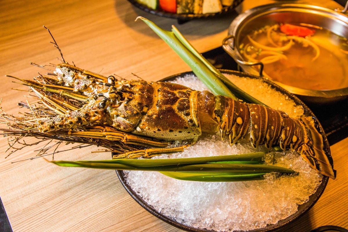 IMG_7858 (Copy).jpg IMG_7858 (Copy).jpg