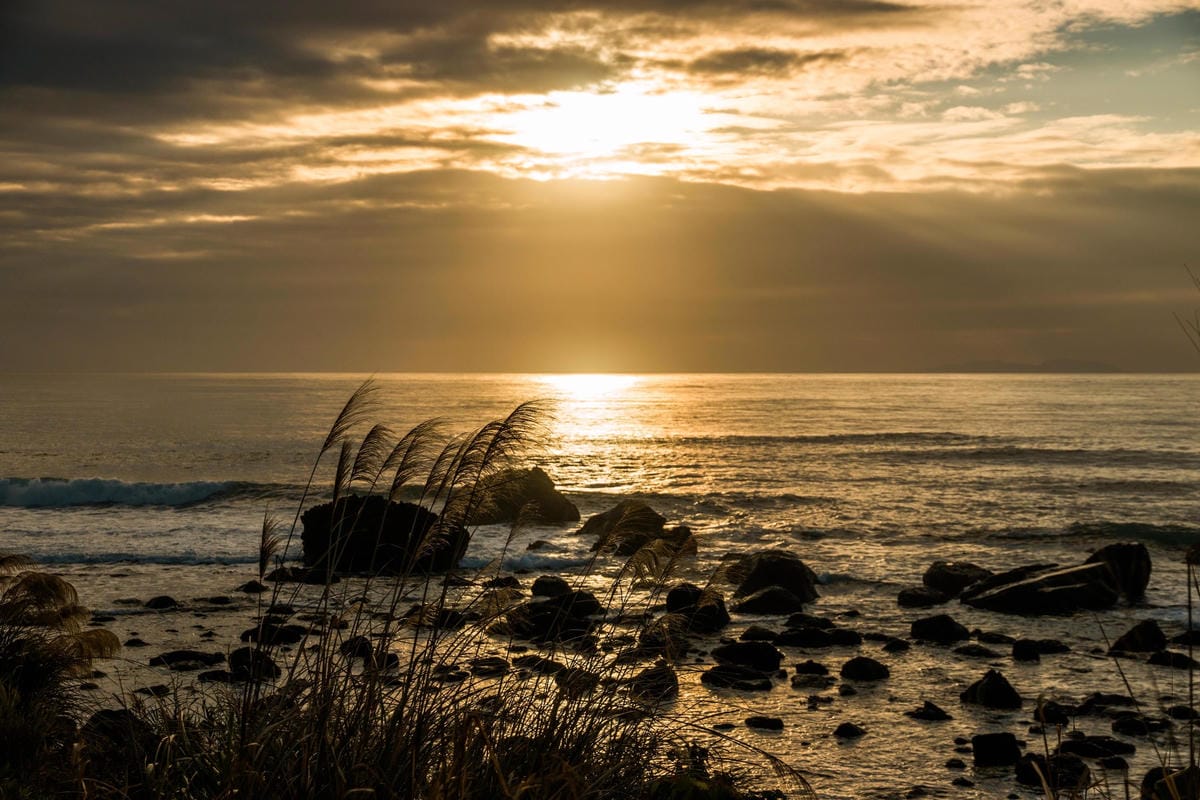 IMG_8777 (Copy).jpg IMG_8777 (Copy).jpg