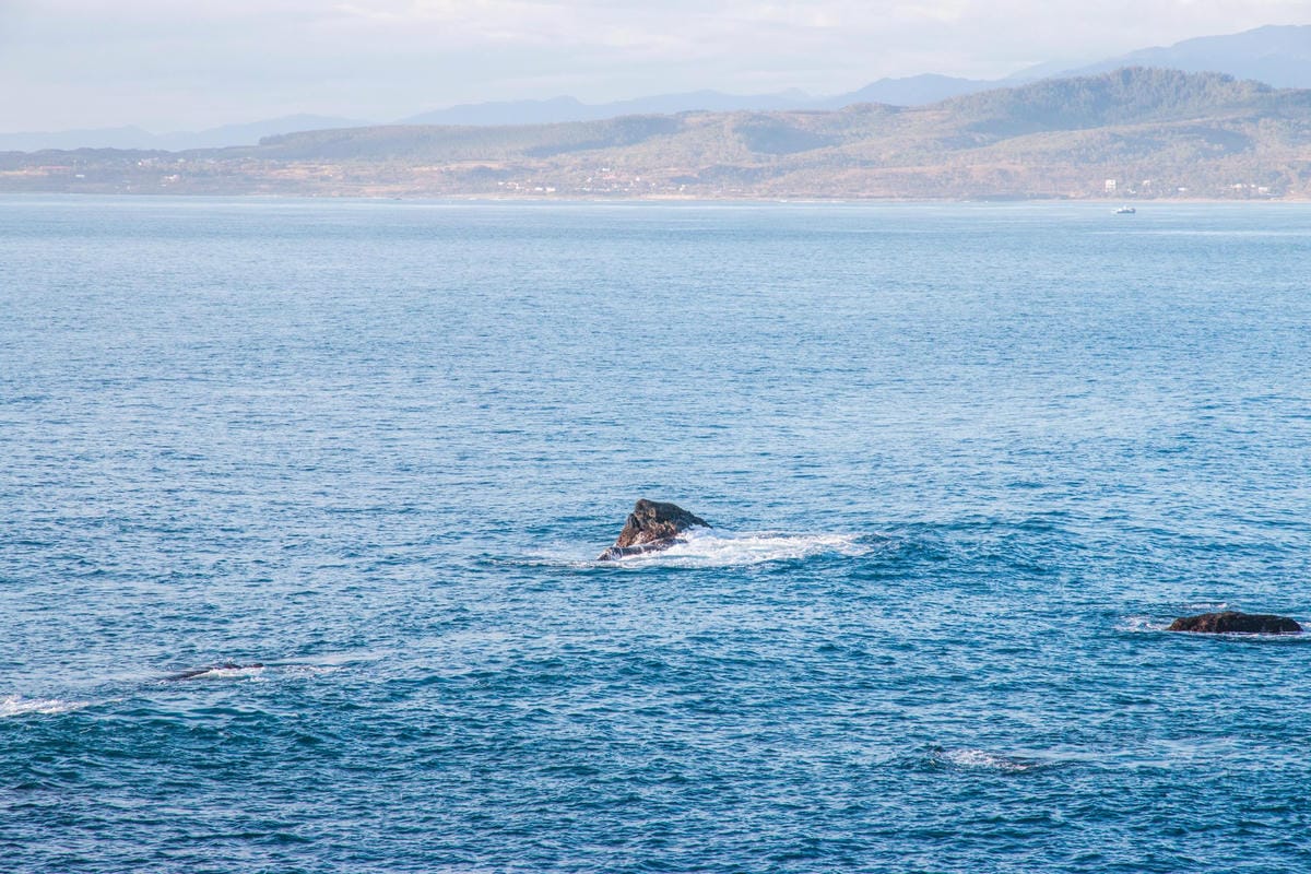 IMG_8791 (Copy).jpg IMG_8791 (Copy).jpg