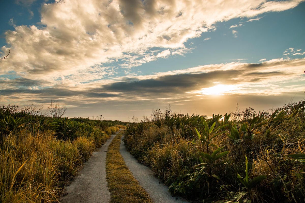 IMG_8774 (Copy).jpg IMG_8774 (Copy).jpg