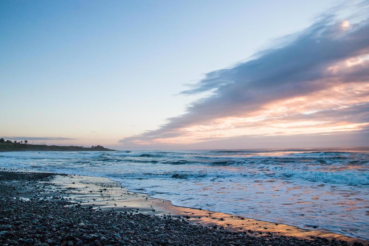 IMG_8741 (Copy).jpg IMG_8741 (Copy).jpg