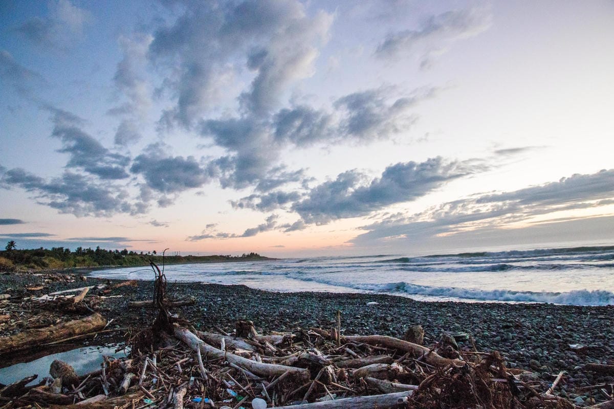 IMG_8737 (Copy).jpg IMG_8737 (Copy).jpg