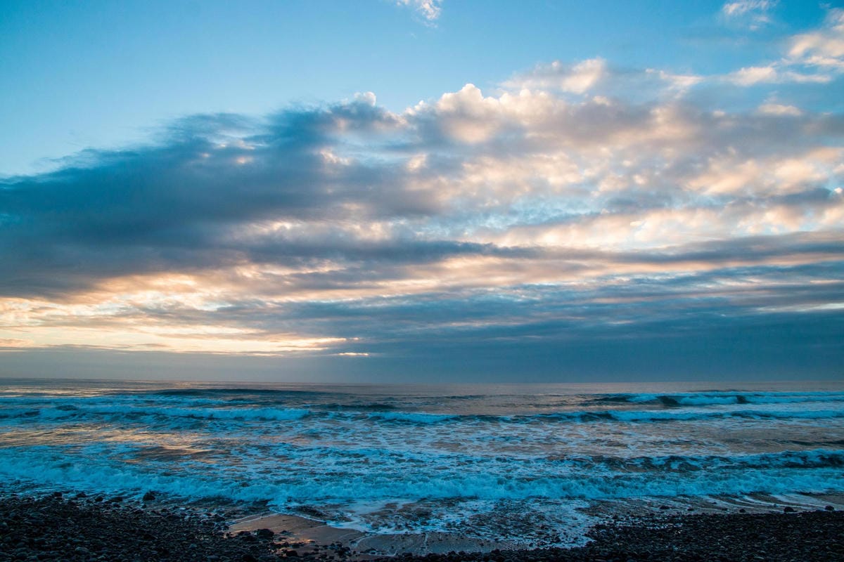 IMG_8744 (Copy).jpg IMG_8744 (Copy).jpg